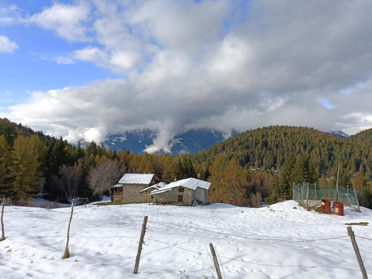 Casa Aprica Piste Da Sci Baradello Daire Dış mekan fotoğraf